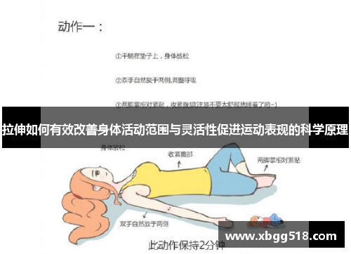 拉伸如何有效改善身体活动范围与灵活性促进运动表现的科学原理